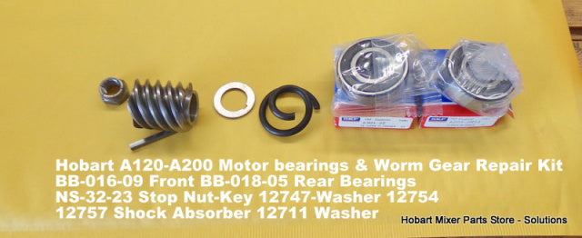 Motor Repair Kit with Rotor Bearings & Key. Replaces BB-016-09, BB-017-05, NS-32-23.